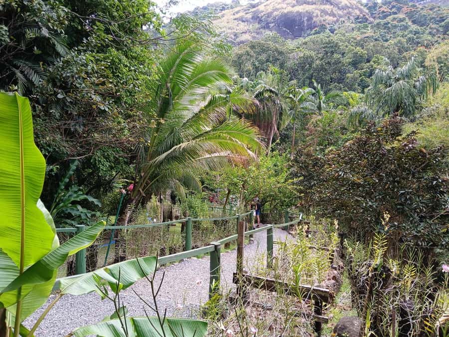FIJI: Garden of the Sleeping Giant Tour - Practical details before you go