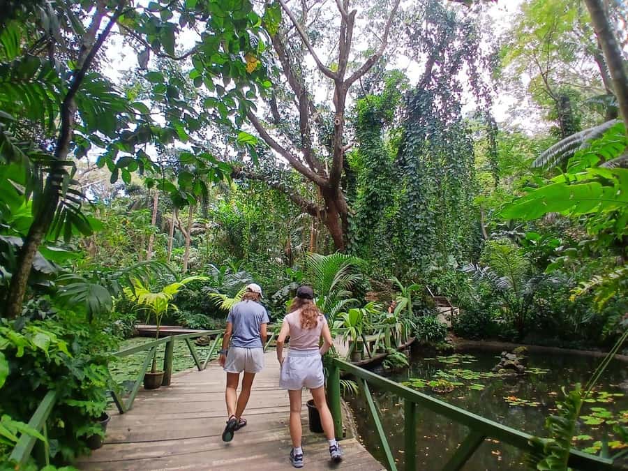 FIJI: Garden of the Sleeping Giant Tour - Walking the orchid collection