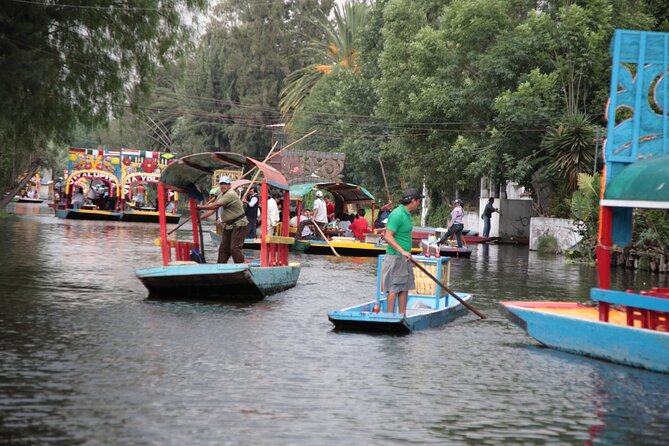 Floating Flower Gardens Of Xochimilco with a Local: Private & Personalized - Museo Dolores Olmedo adds an art and personality stop