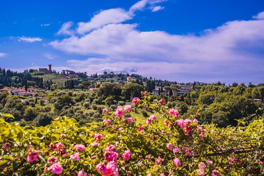 Florence: Pitti Palace and Boboli Gardens Guided Tour - Inside the Palatine Gallery, where every wall competes for attention