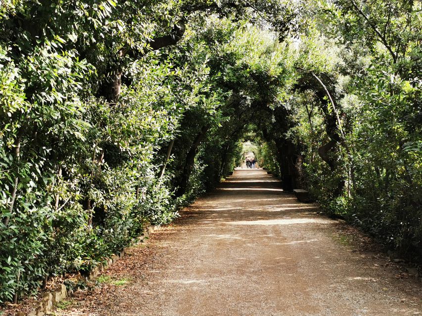 Florence: Pitti Palace, Boboli Garden, Palatine Gallery Tour - Medici furniture, ceilings, and the art of showing off