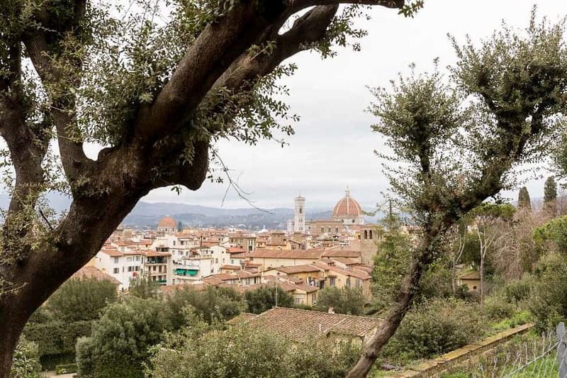 Florence: Reserved Entry Ticket to the Boboli Gardens - Statues, fountains, hedges, and quiet corners