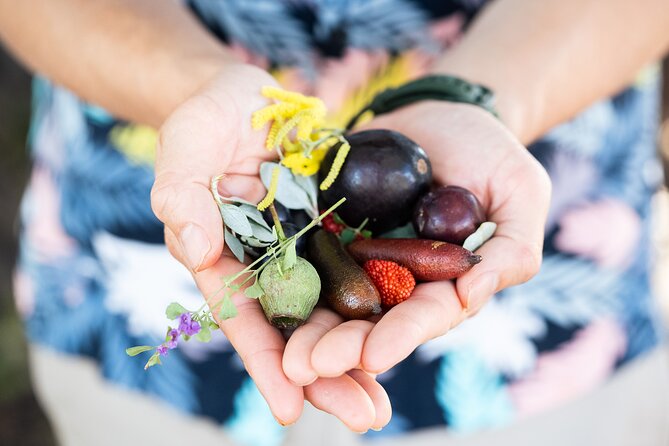 Foraging Tour: Botanical Gardens Walk & Picnic - Is $56.94 Good Value?