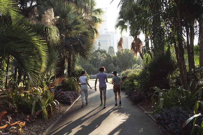 Foraging Tour: Botanical Gardens Walk & Picnic - Harbour Views and a Native-Inspired Picnic