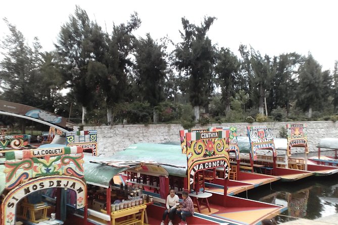 Frida Kahlo and Floating Gardens Tour with Transportation - What the private vehicle adds to the day