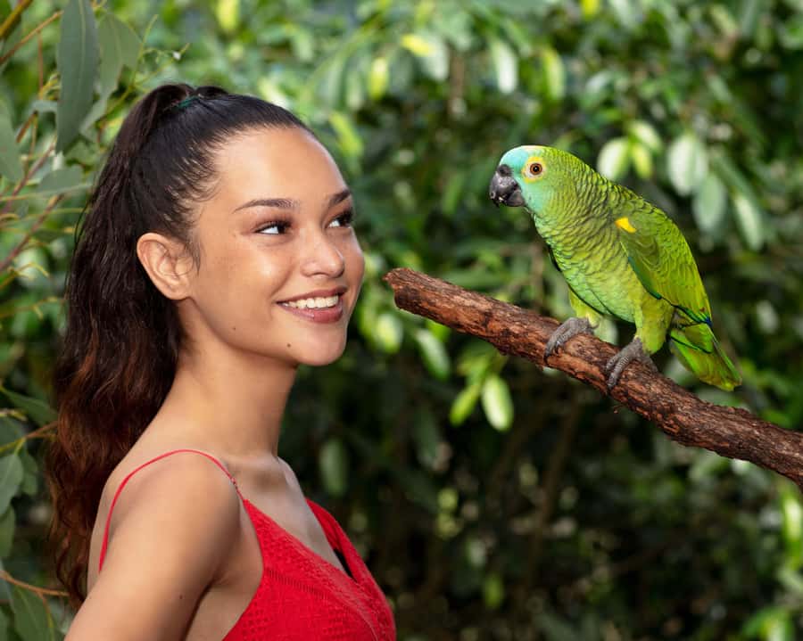 Friends in the Rainforest Package: Koala Gardens & Birdworld - Getting good value from the $27 price