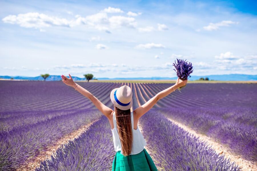 From Aix: Day Trip to Valensole Lavender Fields in Provence - Who will enjoy this half-day outing