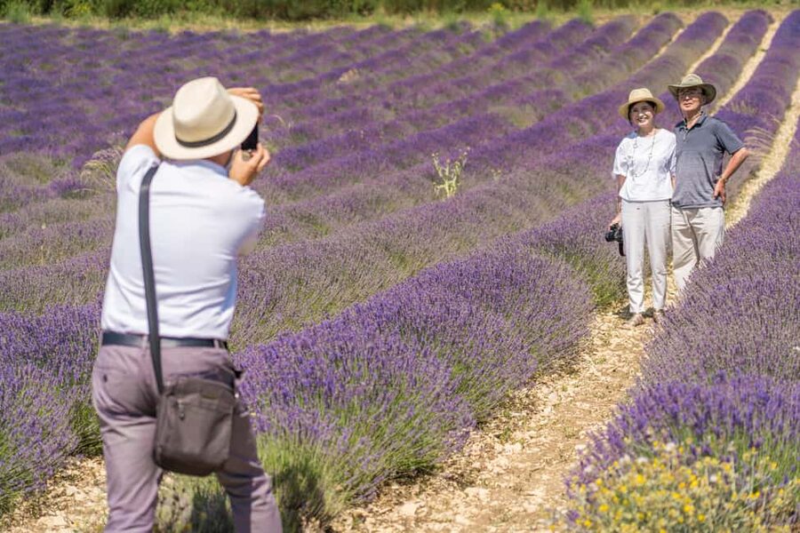 From Aix-en-Provence: Lavender Half Day Tour - FAQ