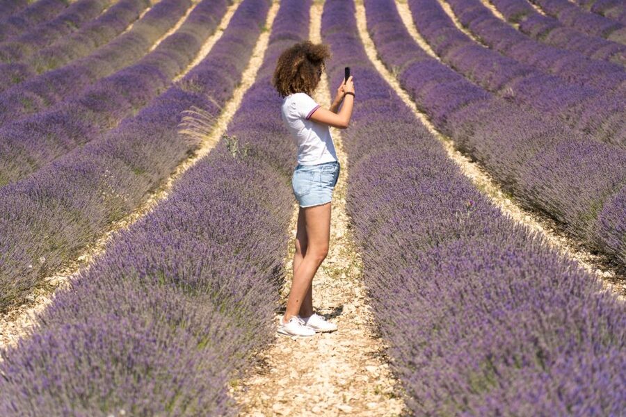 From Aix-en-Provence: Sault Lavender & Gordes Full-Day Tour - The local producer and the work behind the scent