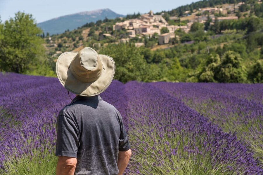 From Aix-en-Provence: Sault Lavender & Gordes Full-Day Tour - The Plateau of Valensole and its blue-gold crop