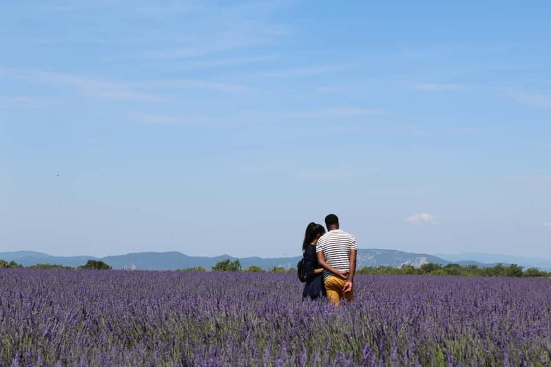 From Aix-en-Provence : Sunset Lavender Tour in Valensole - Key points to know before booking
