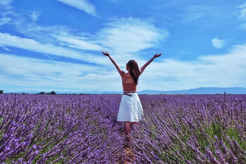 From Aix-en-Provence : Sunset Lavender Tour in Valensole - The first lavender field gives you room to look around