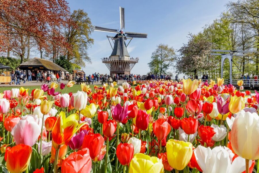 From Amsterdam: Keukenhof and Dutch Countryside Tour - Volendam: cheese, fish, and a short waterfront pause