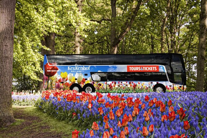 From Amsterdam: Keukenhof and Tulip Experience Tour - Who should book this tour?