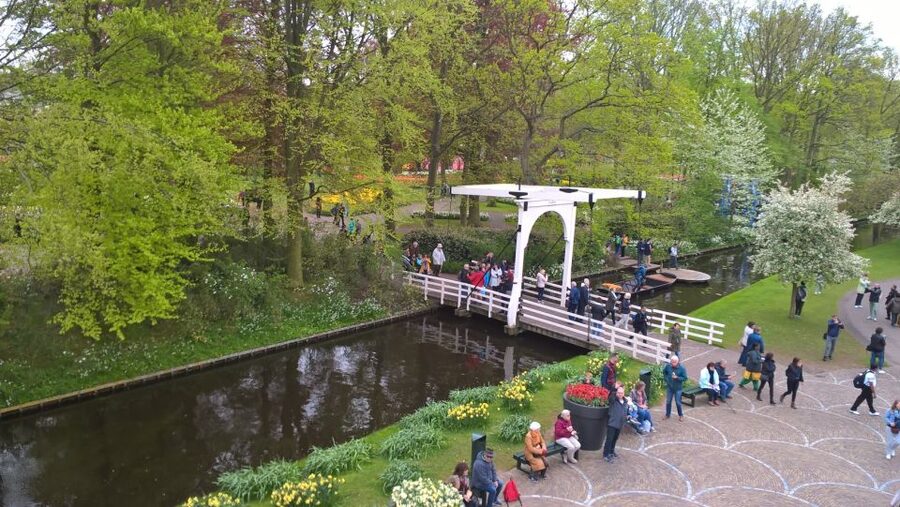 From Amsterdam: Keukenhof and Zaanse Schans Small Group Tour - What the guide adds to the day