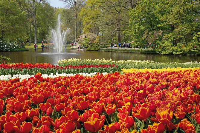 From Amsterdam: Keukenhof Gardens Ticket and Transfer - Tulips, hyacinths, daffodils, and seasonal timing
