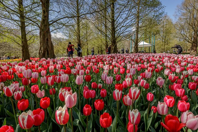 From Amsterdam: Keukenhof Gardens Ticket and Transfer - The optional audio guide and Amsterdam canal cruise