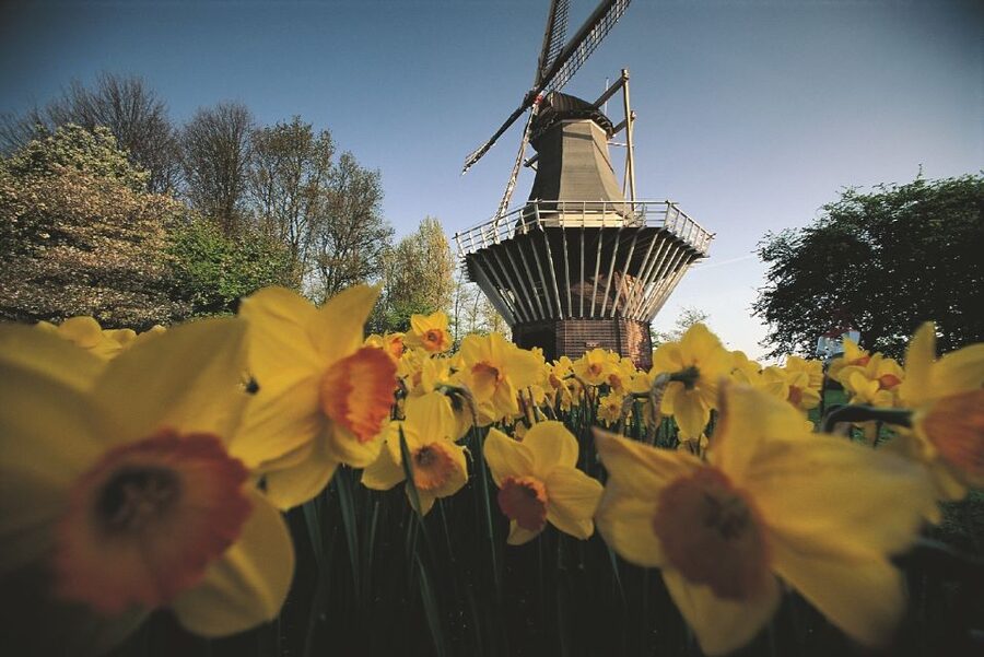 From Amsterdam: Keukenhof Gardens & Tulip Experience Tour - The short ride to Keukenhof