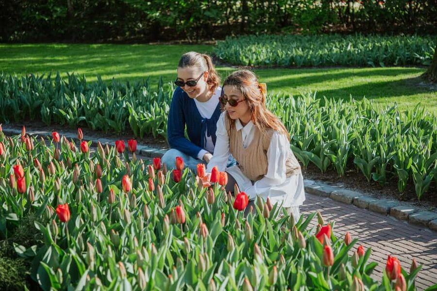 From Amsterdam: Keukenhof Ticket with Transfer - Who should book this Keukenhof trip?