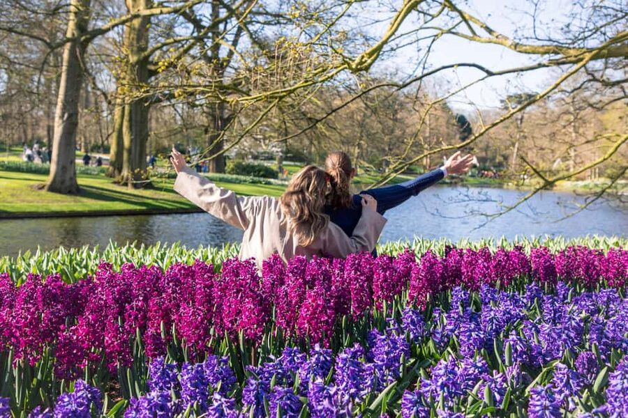 From Amsterdam: Keukenhof Ticket with Transfer - The ride through the bulb region