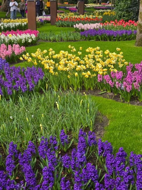 From Amsterdam: Keukenhof Tulips, Windmills & Volendam - Zaanse Schans after the big buses begin to leave