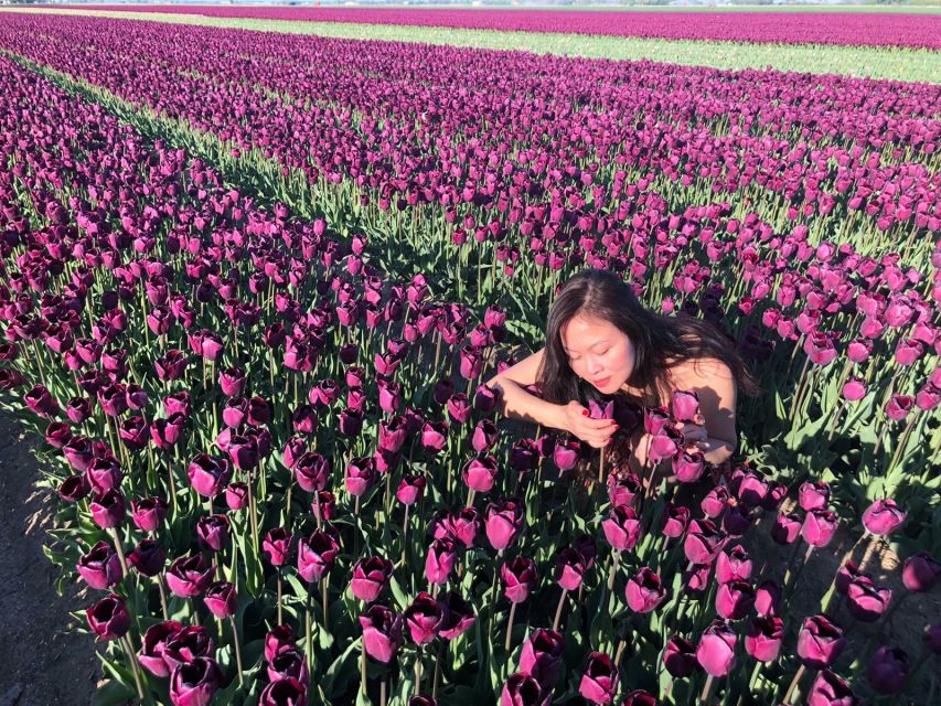 From Amsterdam: Tulip Tour Keukenhof & City Tour Delft - Making the most of two hours at Keukenhof