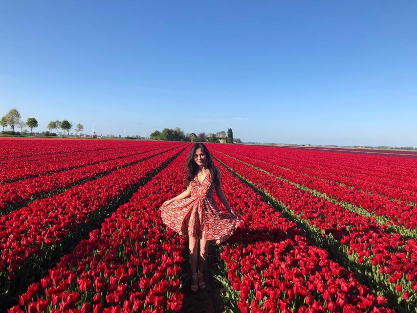 From Amsterdam: Tulip Tour Keukenhof & City Tour Delft - Delft’s market square, canals, and medieval buildings