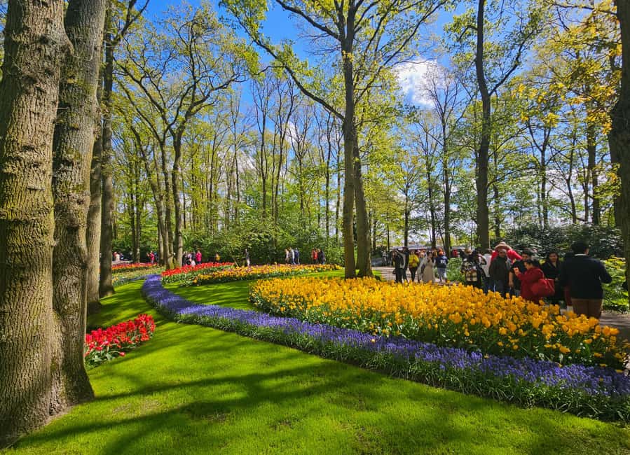 From Amsterdam: Tulip Tour Keukenhof & City Tour Delft - Walking, access, and the pace of the day