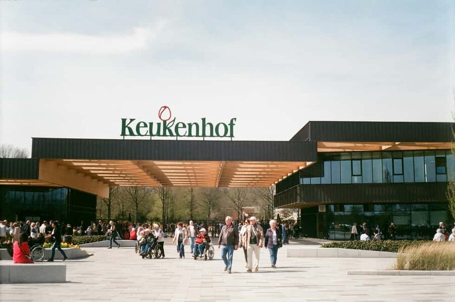 From Amsterdam: VIP Keukenhof Tulip Tour with Private Driver - Key points to know before booking