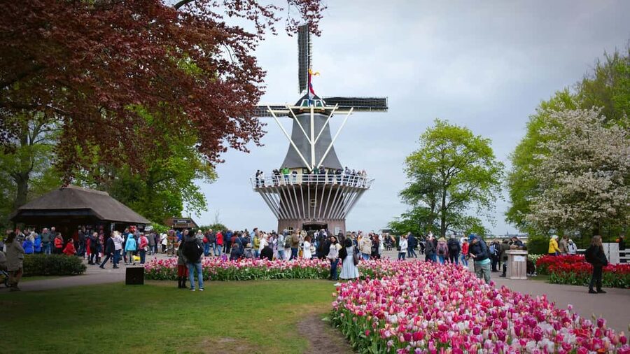 From Amsterdam: VIP Keukenhof Tulip Tour with Private Driver - The 45-minute ride from Amsterdam