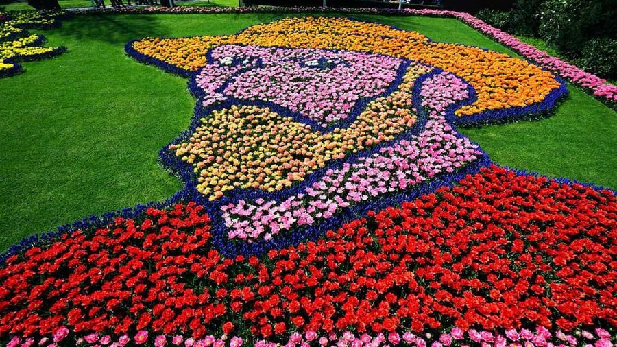 From Amsterdam: VIP Keukenhof Tulip Tour with Private Driver - The Dutch windmill photo stop