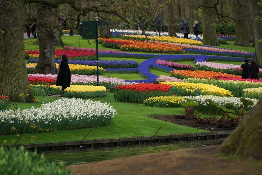 From Amsterdam: VIP Keukenhof Tulip Tour with Private Driver - How much value do you get for $765?