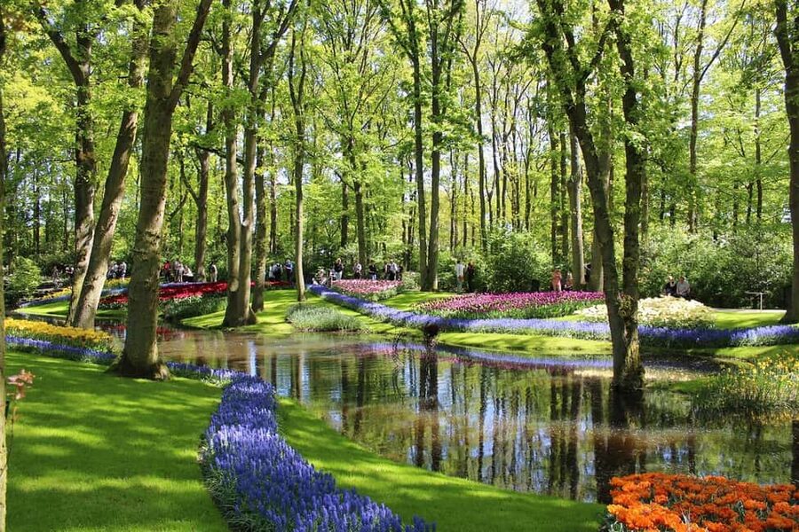 From Amsterdam: VIP Keukenhof Tulip Tour with Private Driver - Who will appreciate this private Keukenhof day?