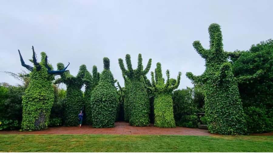 From Auckland: Hobbiton & Hamilton Gardens Small Group Tour - Hamilton Gardens: 90 minutes of themed design