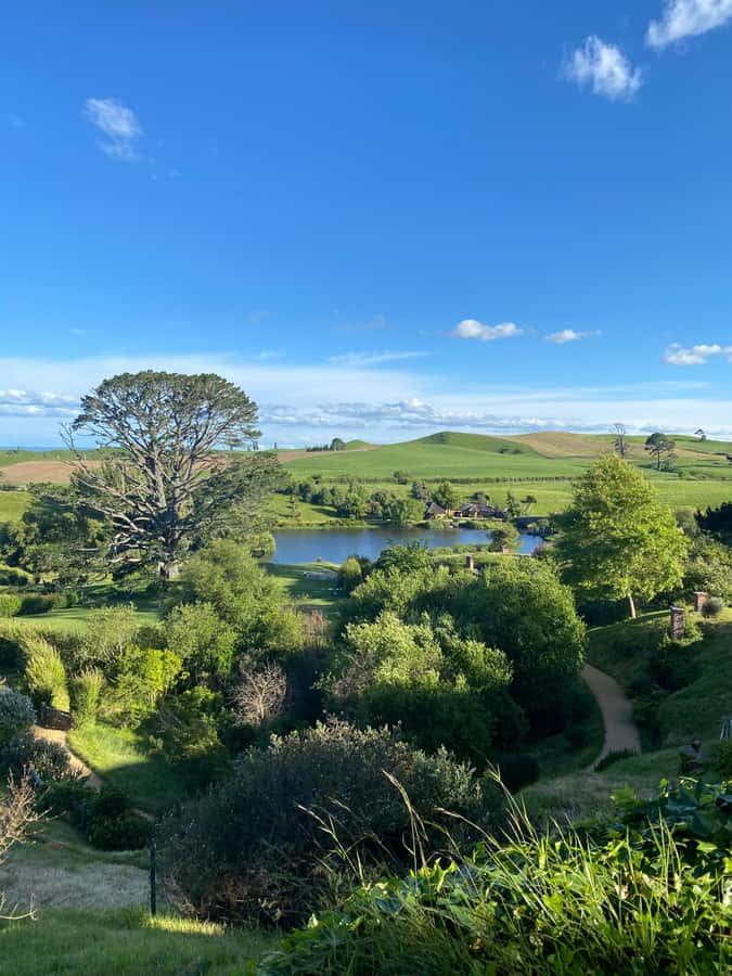 From Auckland: Hobbiton & Hamilton Gardens Small Group Tour - Hobbiton’s 2.5-hour guided walk