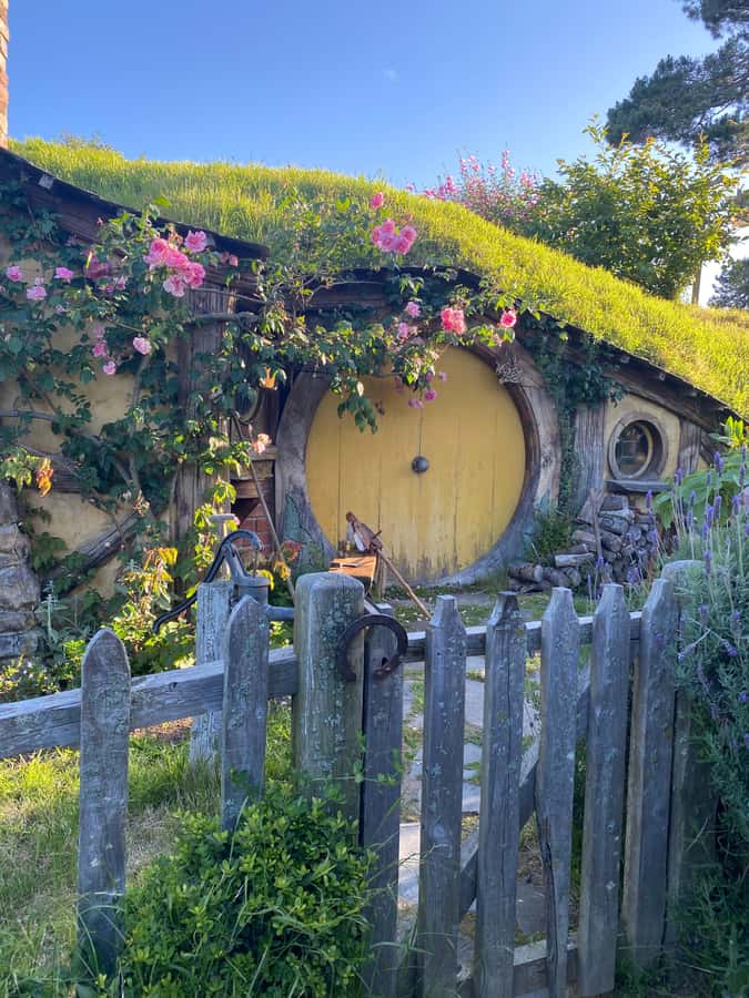 From Auckland: Hobbiton & Hamilton Gardens Small Group Tour - Should you book it?