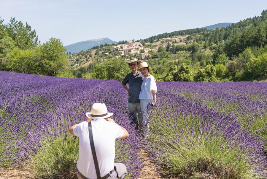 From Avignon: Half-Day Lavender Tour of Luberon - Why this half-day trip works from Avignon