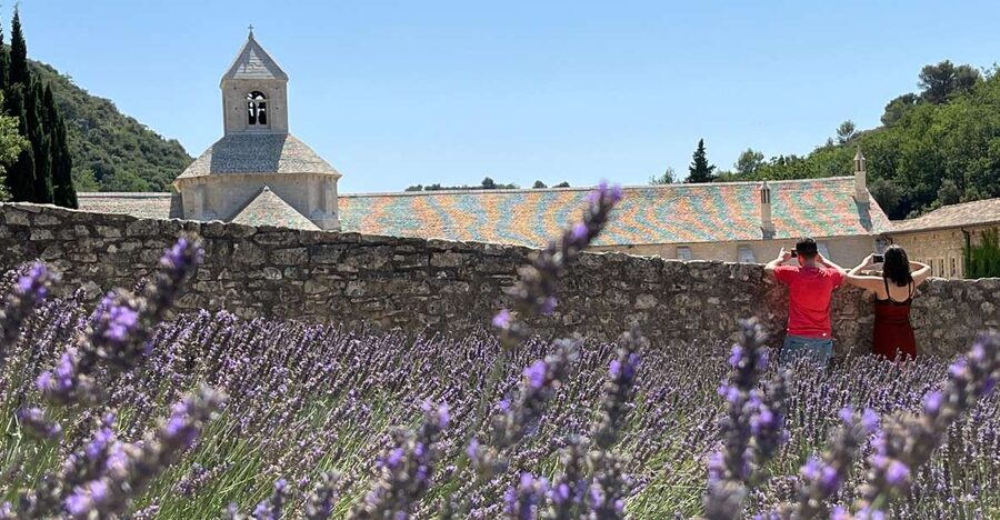 From Avignon: Lavender Tour around Valensole or Sault - Who will enjoy this day most?
