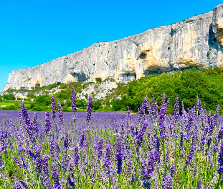 From Avignon: Lavender Tour around Valensole or Sault - The Valensole route starts with St. Croix Lake