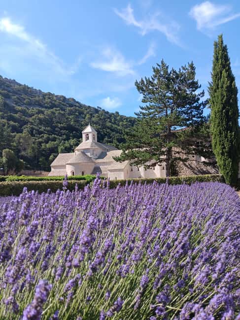 From Avignon: Lavender Villages Full-Day Tour - Sault or Roussillon, depending on the bloom