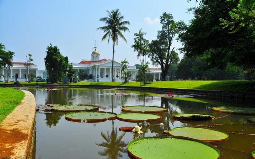 From Bandung: Tea Plantation and Botanical Garden Tour - The tea factory and what you may see