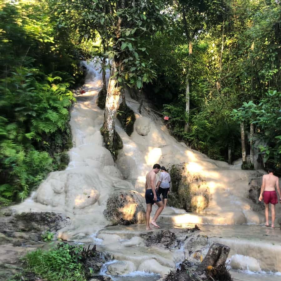 From Chiang Mai: Temples, Sticky Waterfall, and Orchid Farm - Key points at a glance