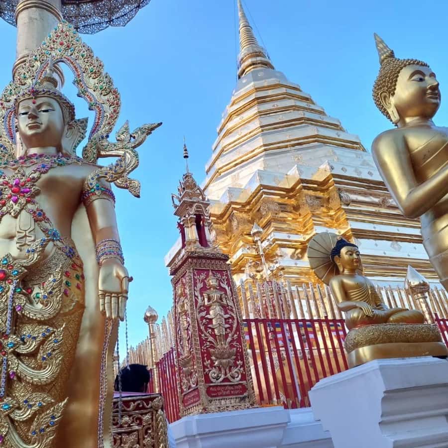 From Chiang Mai: Temples, Sticky Waterfall, and Orchid Farm - Should you book it?