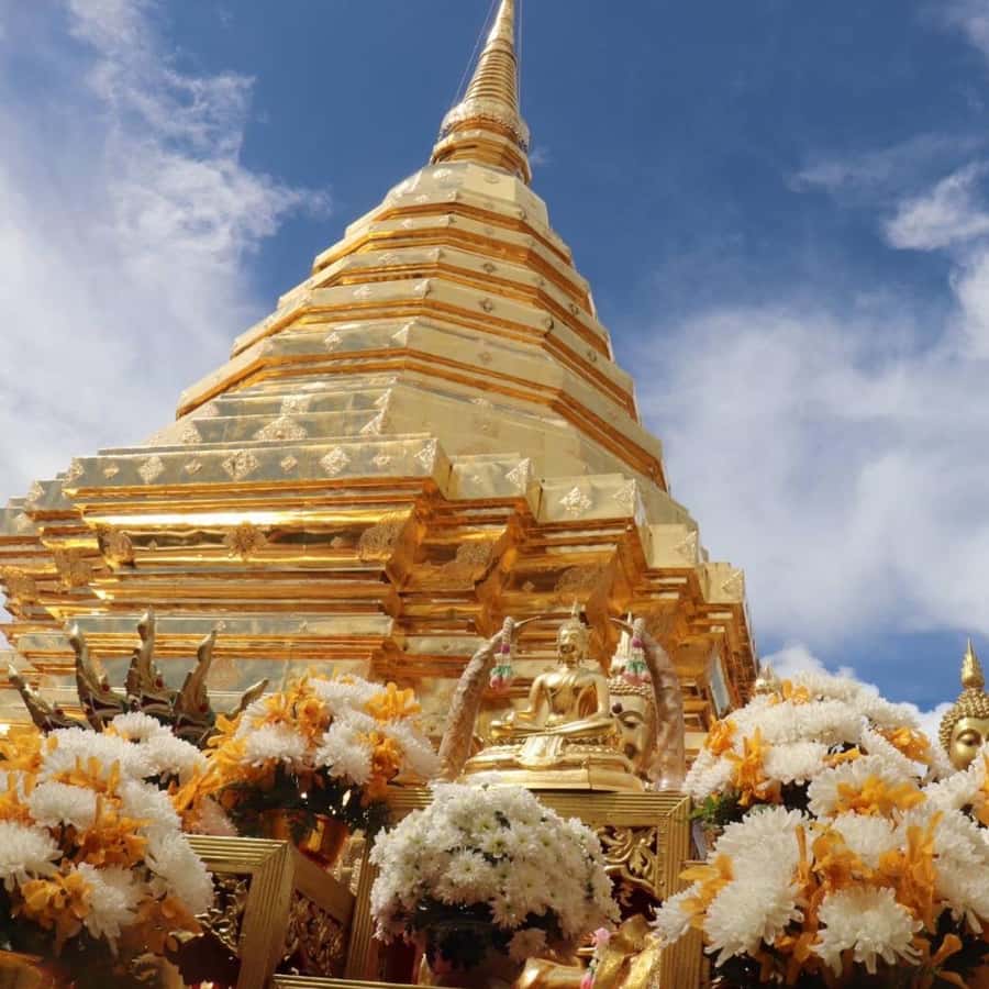 From Chiang Mai: Temples, Sticky Waterfall, and Orchid Farm - Why this Chiang Mai day trip works