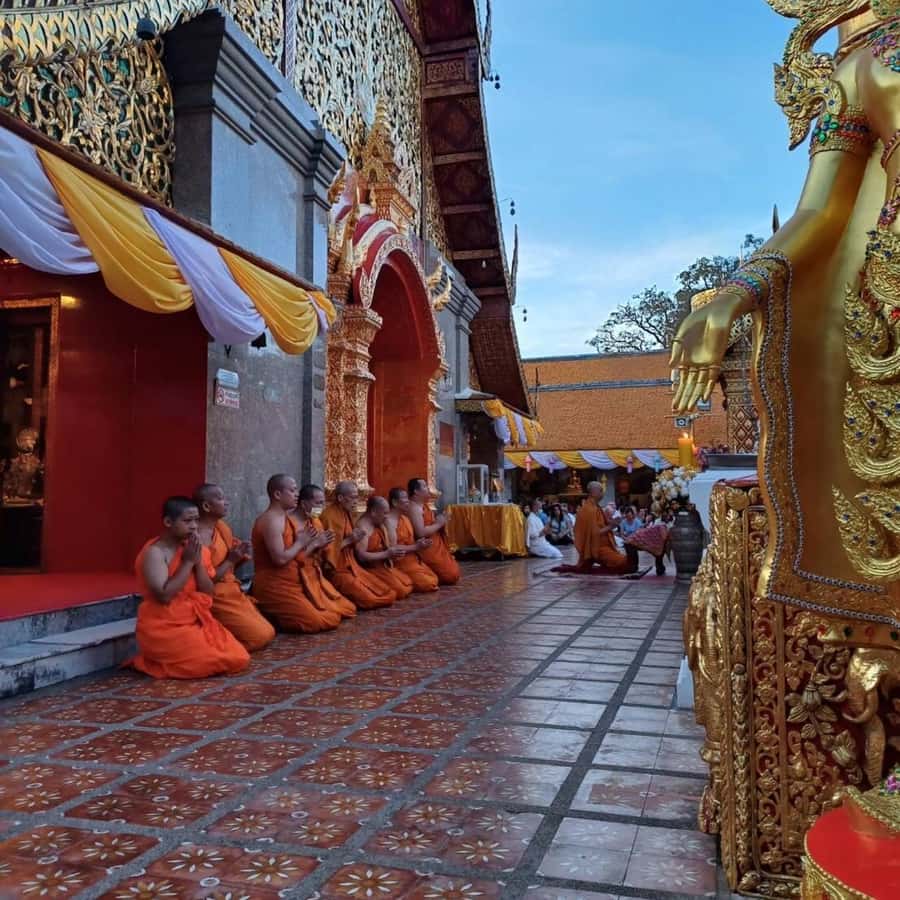 From Chiang Mai: Temples, Sticky Waterfall, and Orchid Farm - Orchids, butterflies, and a useful lunch stop