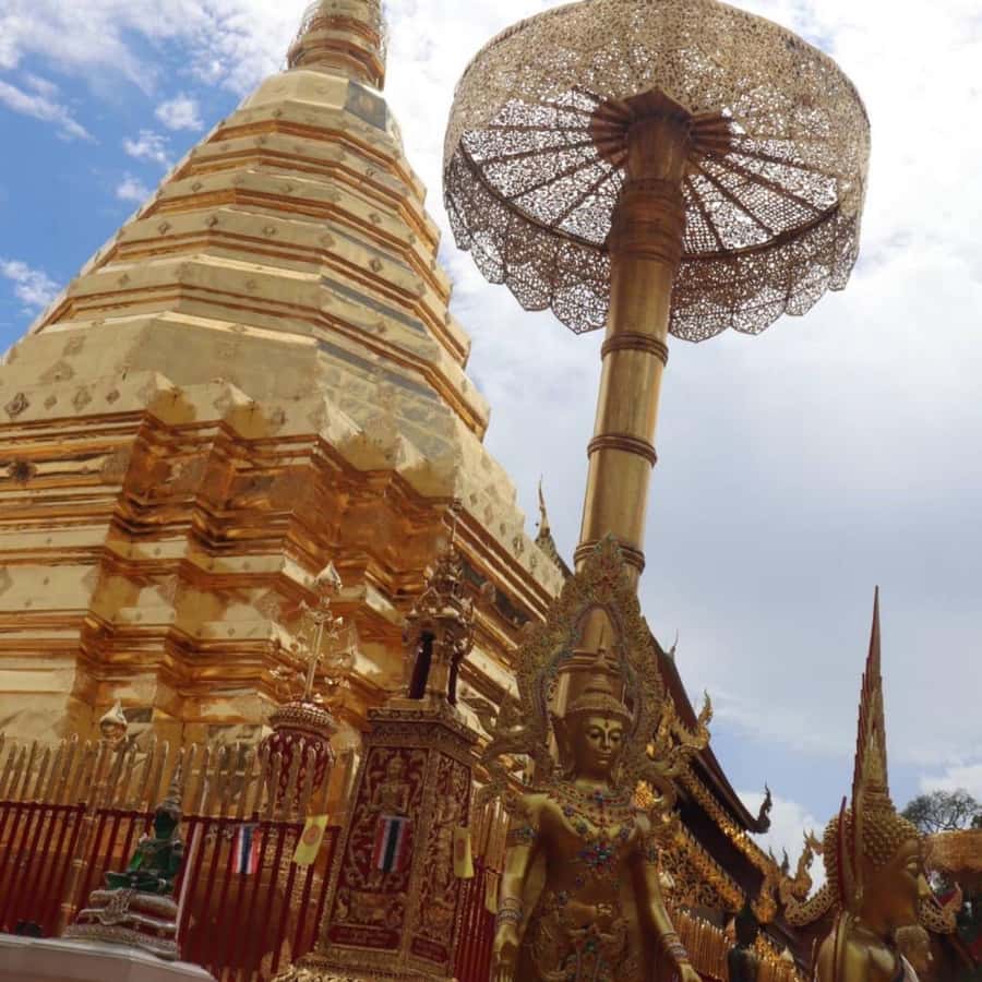 From Chiang Mai: Temples, Sticky Waterfall, and Orchid Farm - Bua Tong Sticky Waterfall, the day’s hands-on finish