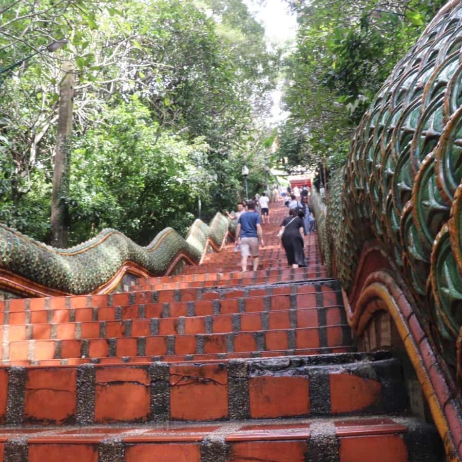 From Chiang Mai: Temples, Sticky Waterfall, and Orchid Farm - Transport, timing, and group size