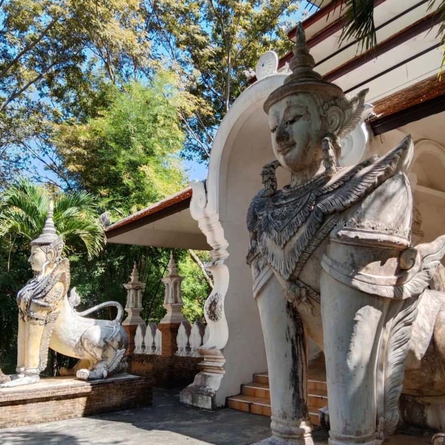 From Chiang Mai: Temples, Sticky Waterfall, and Orchid Farm - Who should book this day