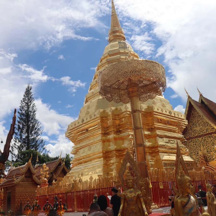 From Chiang Mai: Temples, Sticky Waterfall, and Orchid Farm - Wat Pha Lat, a forest temple with a calm mood
