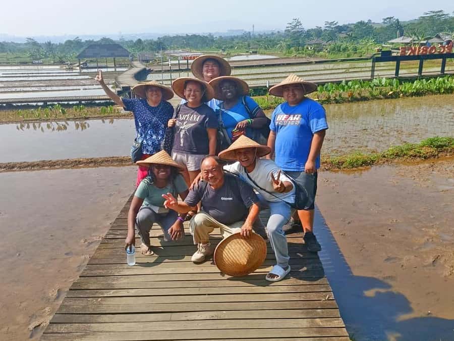 From Jakarta: Bogor Botanical Garden, Ricefield, & Waterfall - Who should book this experience